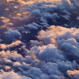 搜索中国一级黄片
